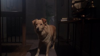 E.T. The Extra-Terrestrial screenshot 3