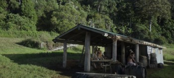 In Like Flynn screenshot 1