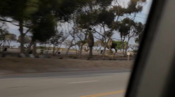 Sleeping Dogs Lie screenshot 3