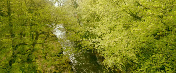 Dartmoor Killing screenshot 1