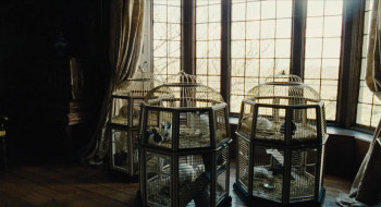 The Favourite screenshot 2