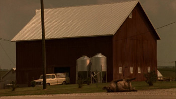 Whiteboyz screenshot 1