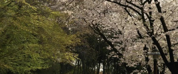 Factory Complex screenshot 1