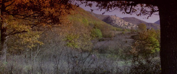 Ladyhawke screenshot 1
