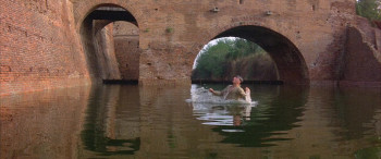 Ladyhawke screenshot 2