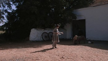 A Nightingale Falling screenshot 1