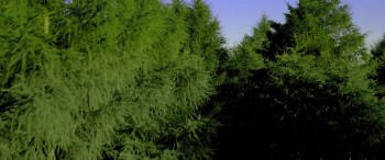 Awaiting screenshot 1