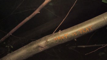 Evidence screenshot 2