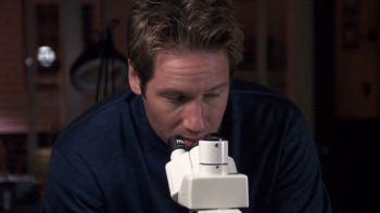 Evolution screenshot 1