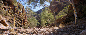 The Tracker screenshot 1