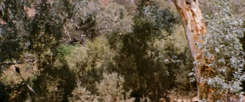 The Tracker screenshot 3