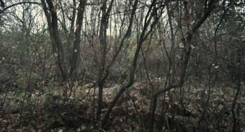 13 Eerie screenshot 3