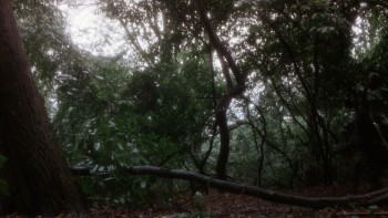 Excalibur screenshot 2