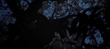 The Bible: In the Beginning... screenshot 3