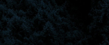 Trading Paint screenshot 3