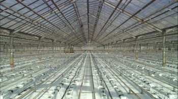 Our Daily Bread screenshot 1