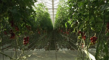 Our Daily Bread screenshot 2