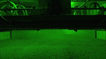 Our Daily Bread screenshot 3