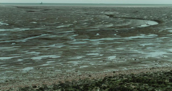 Peterloo screenshot 1