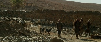 Exodus: Gods and Kings screenshot 1