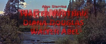 The Indian Fighter screenshot 2