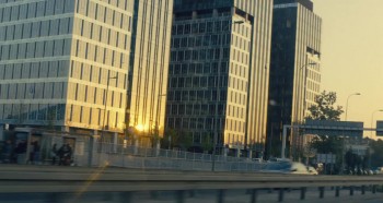 A Cat with a Dog screenshot 1