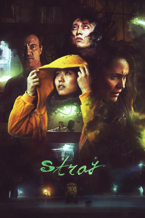 stray cover image