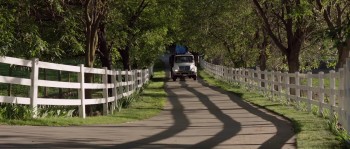 Kiss Kiss screenshot 1