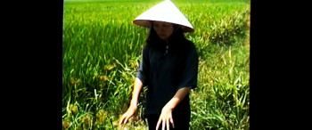 Canaries screenshot 2