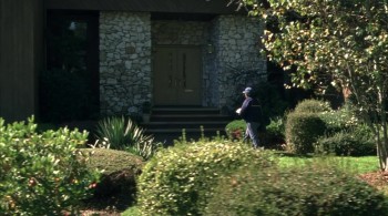 Broken Flowers screenshot 3