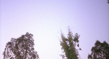 Moving Violations screenshot 3