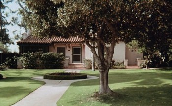 F for Fake screenshot 1