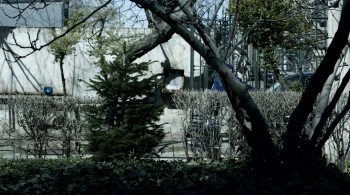 The Hard Way screenshot 1