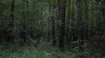 The Mill and the Cross screenshot 2