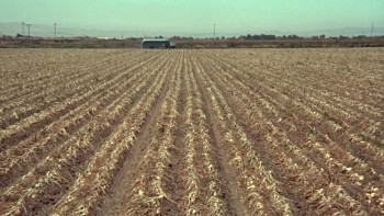 Fat City screenshot 1