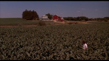 Field of Dreams screenshot 2
