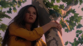 Flipped screenshot 2