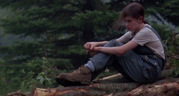 Fly Away Home screenshot 2