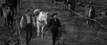 Forty Guns screenshot 1