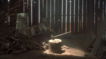 Frailty screenshot 3