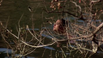 Friday the 13th: The Final Chapter screenshot 2