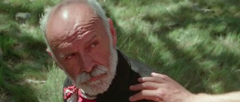 Gallipoli screenshot 3