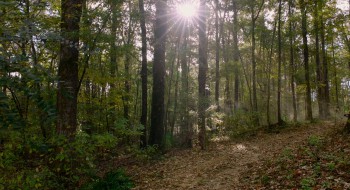 Get on Up screenshot 1