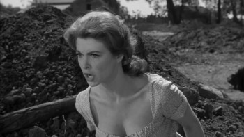 God's Little Acre screenshot 3