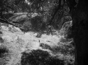 Gun Crazy screenshot 2