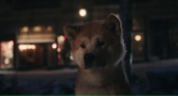Hachi: A Dog's Tale screenshot 1