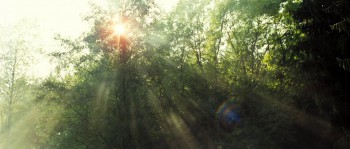 Hannibal Rising screenshot 1