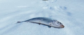 Happy Feet 2 screenshot 1