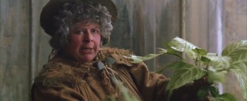 Harry Potter and the Chamber of Secrets screenshot 2