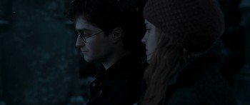 Harry Potter and the Deathly Hallows: Part 1 screenshot 3